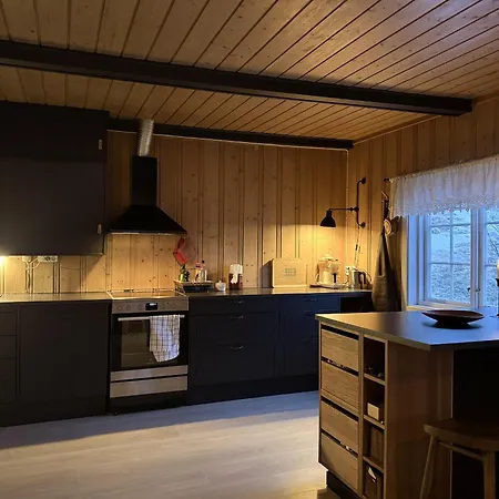 Charming Near Hallingskarvet Center, Cozy And Inviting! 別荘 *