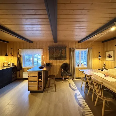 Charming Near Hallingskarvet Center, Cozy And Inviting! Skoro