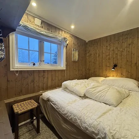 Charming Near Hallingskarvet Center, Cozy And Inviting! 別荘 Skoro