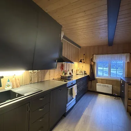 Charming Near Hallingskarvet Center, Cozy And Inviting!