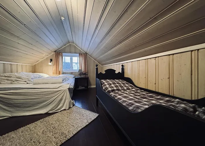 Charming Near Hallingskarvet Center, Cozy And Inviting! * Skoro