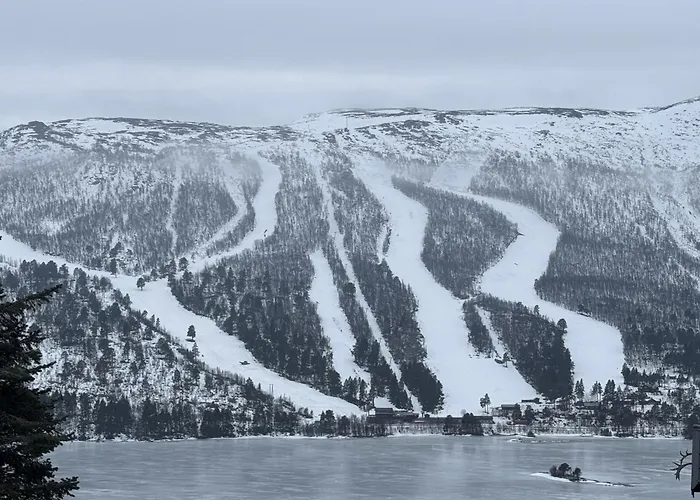 Charming Near Hallingskarvet Center, Cozy And Inviting! Skoro