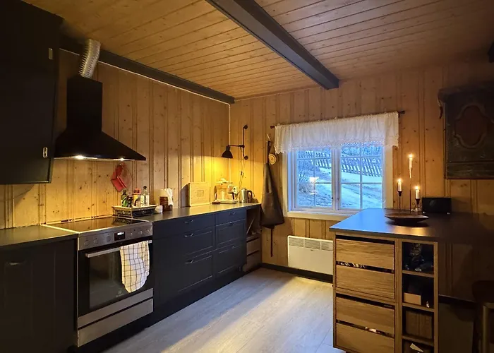 Ferienhaus Charming Near Hallingskarvet Center, Cozy And Inviting! Skoro