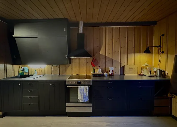 Charming Near Hallingskarvet Center, Cozy And Inviting! * Skoro